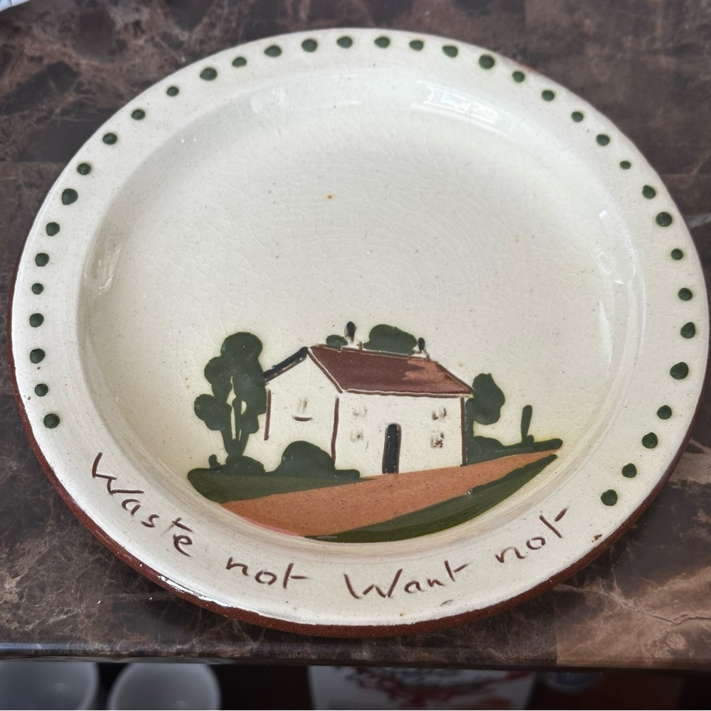 Vintage Watcombe Torquay 6.5 inch Plate Waste Not Want Not